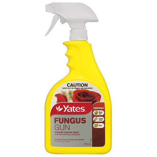 Yates Fungus Gun