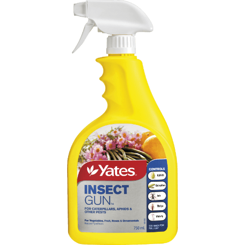 Yates Insect Gun