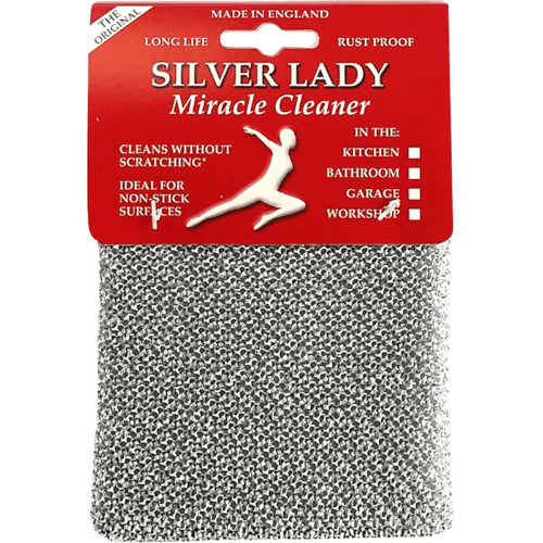Silver Lady Scourer