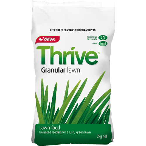 Yates Thrive Fertiliser Lawn Food