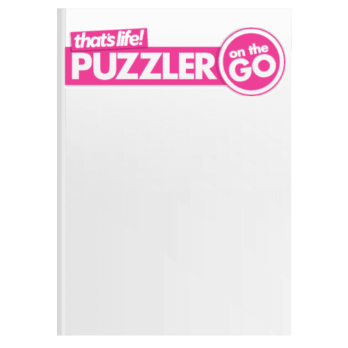 That's Life On The Go Puzzler Standard Magazine