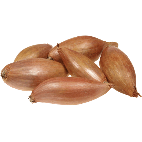 Shallots