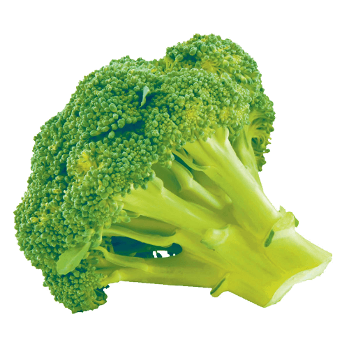 Broccoli