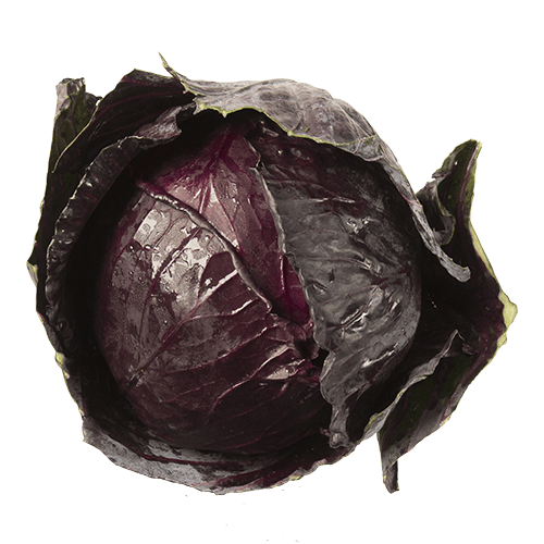 Red Cabbage
