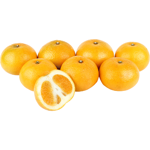 Loose Grapefruit