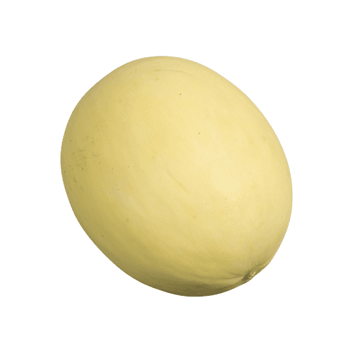 Honeydew Melon