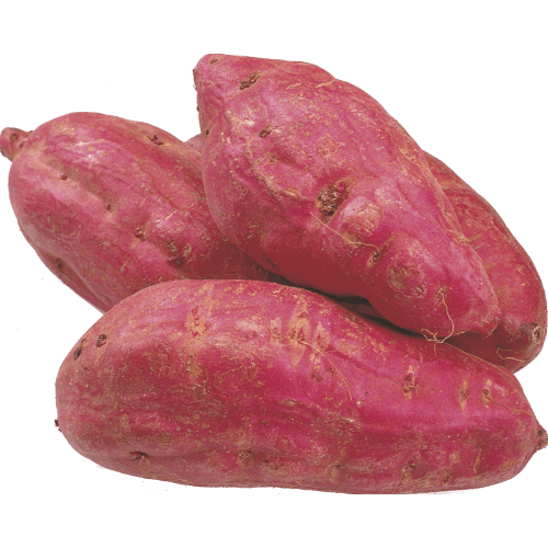 NZ Red Kumara