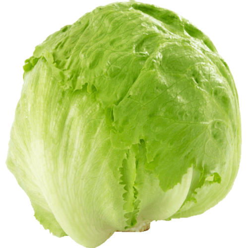 Bagged Iceberg Lettuce