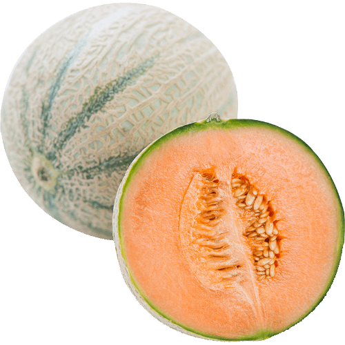 Rockmelon