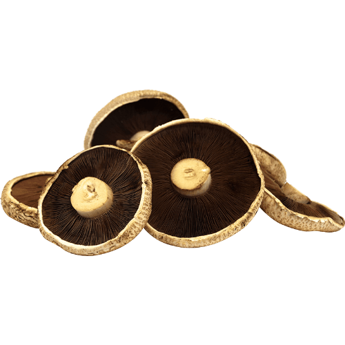 Portabello Flat Mushrooms