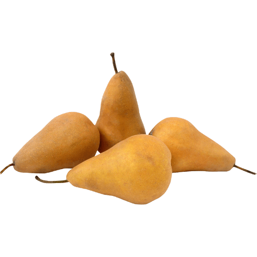 Bosc Beurre Pears