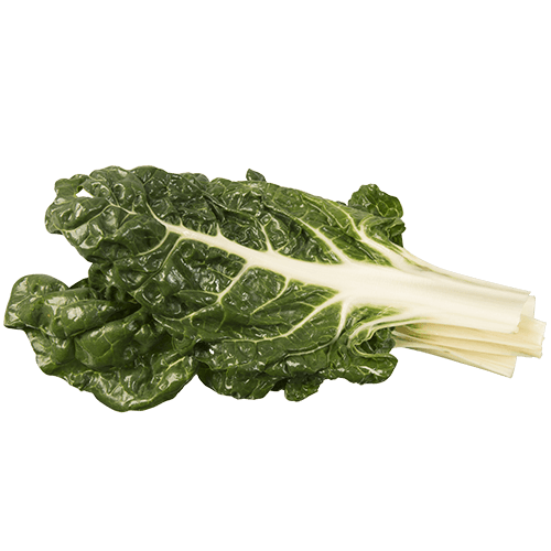 Green Silverbeet