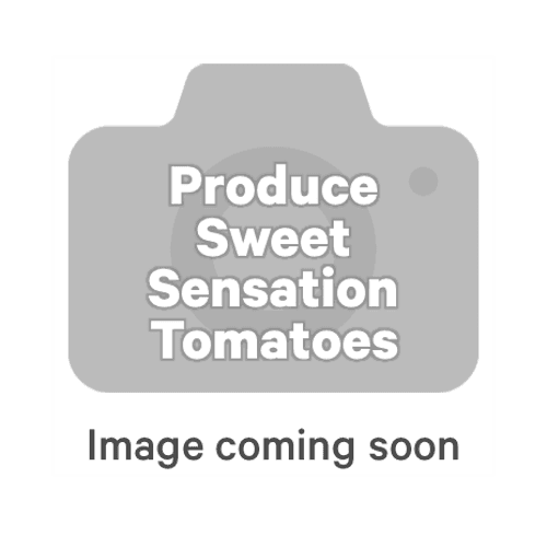 Sweet Sensation Tomatoes