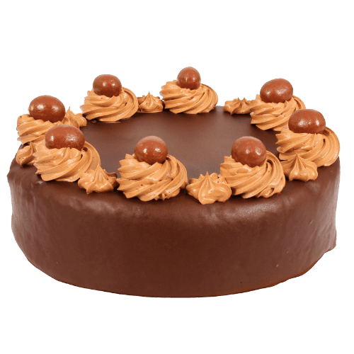 Choc Mud Cake