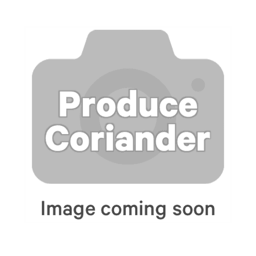 Fresh Herb Coriander Bag 100 g