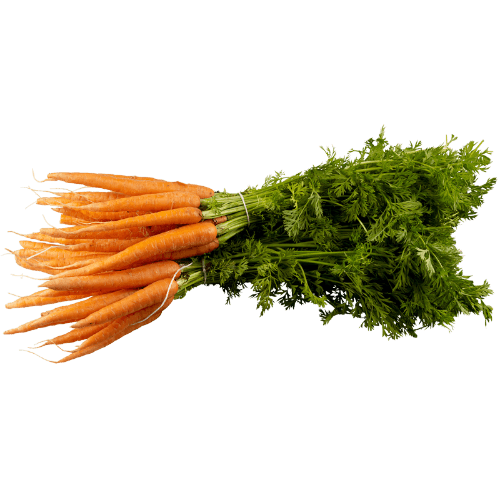 Bunched Baby Carrots