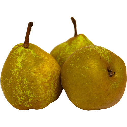 Winter Nelis Pears
