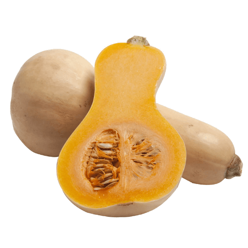 Butternut Pumpkin