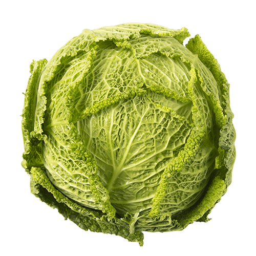 Green Savoy Cabbage