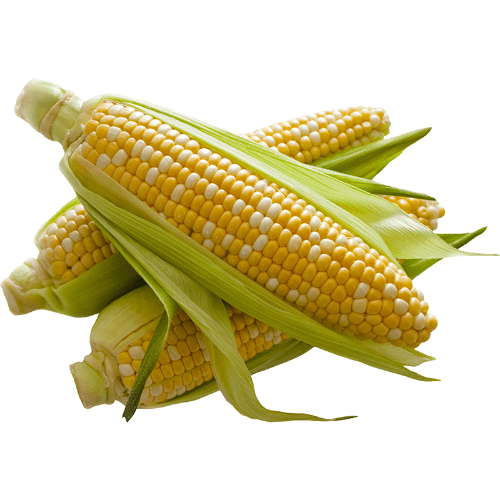 Sweetcorn
