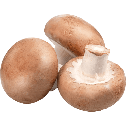 Brown Button Mushrooms