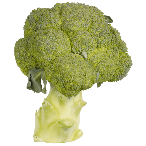 Organic Broccoli