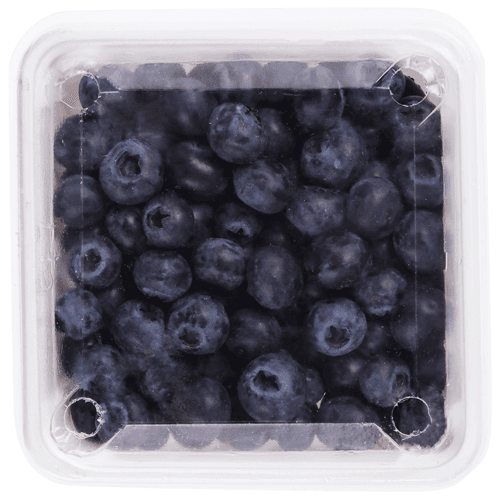 NZ Organic Blueberries