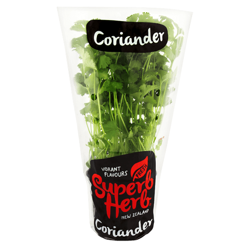 Superb Herb Coriander Pot