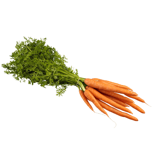 Bunched Baby Carrots
