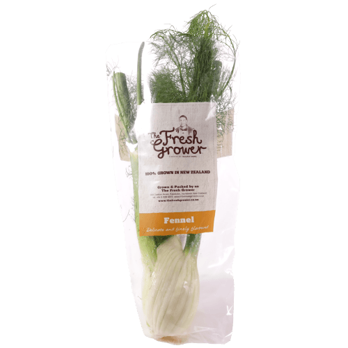 Fennel Bulb