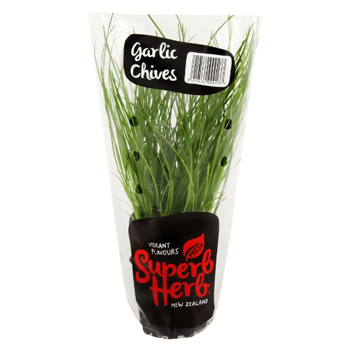 Superb Herb Garlic Chive Pot.