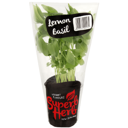 Superb Herb Lemon Basil Pot