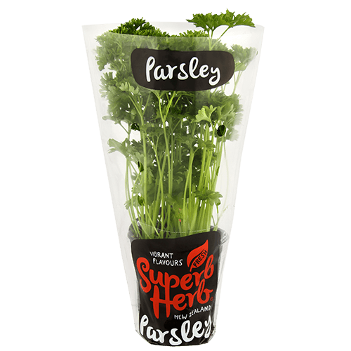 Superb Herb Parsley Pot