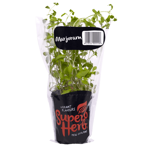 Marjoram