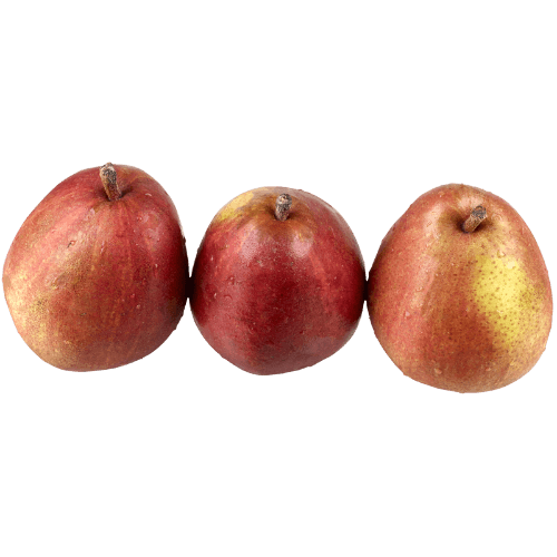 Red Danjou Pears per kg