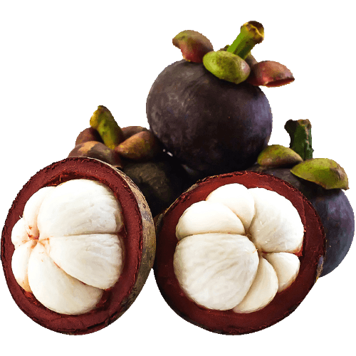 Mangosteen