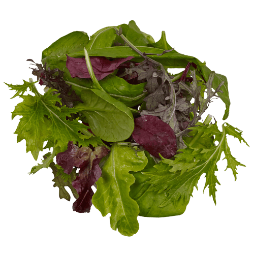 Mixed Loose Leaf Salads