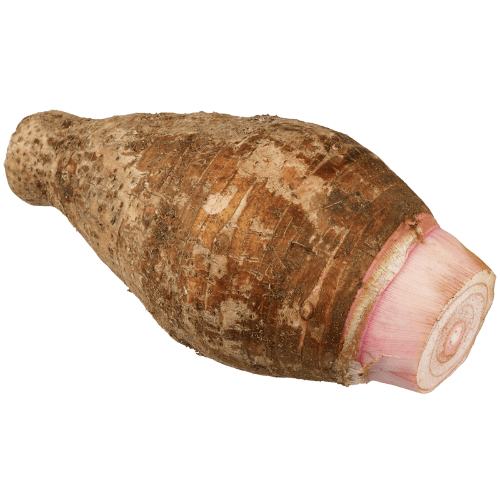 Island Taro Root