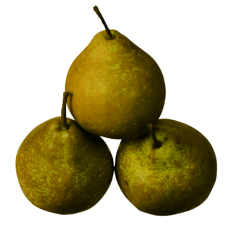 Winter Cole Pears per kg