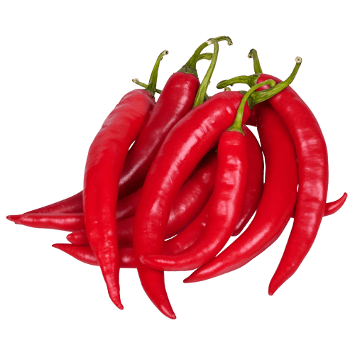 Long Red Chillies