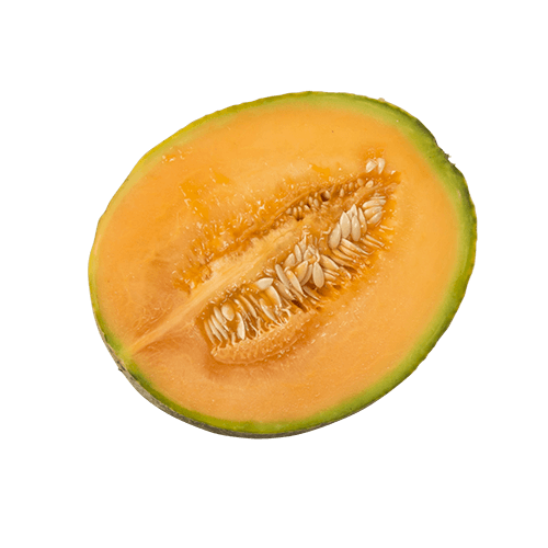 Cut Rock Melon