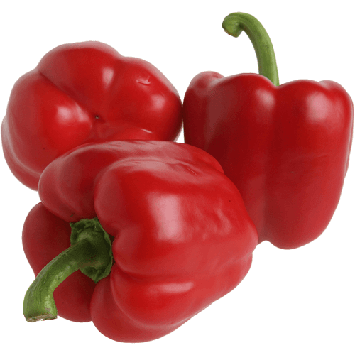 Red Capsicum