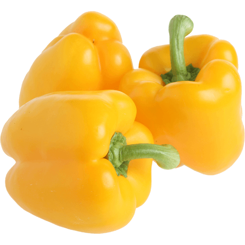 Yellow Capsicum