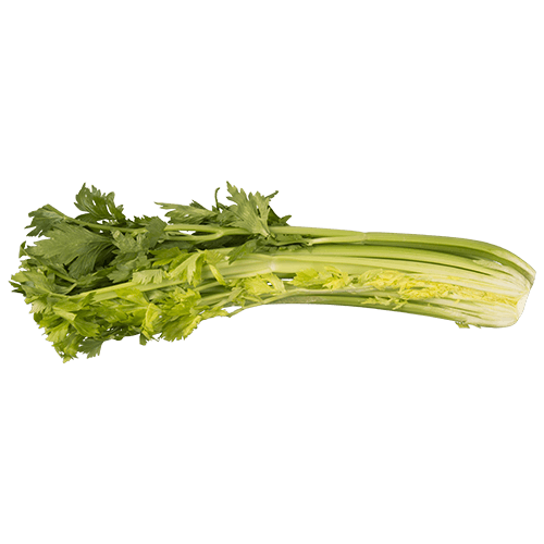 Celery Half