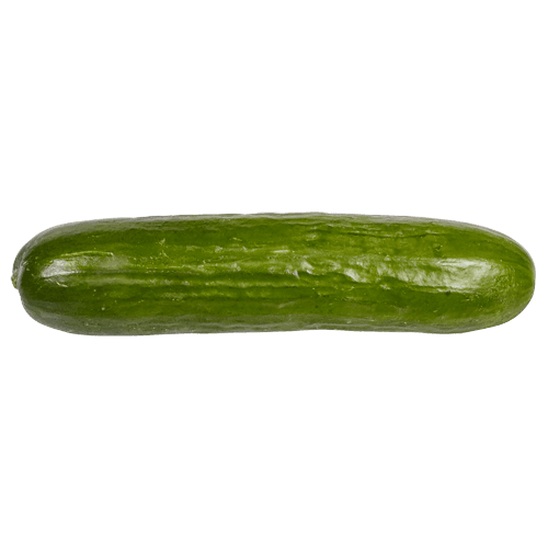 Lebanese Cucumber