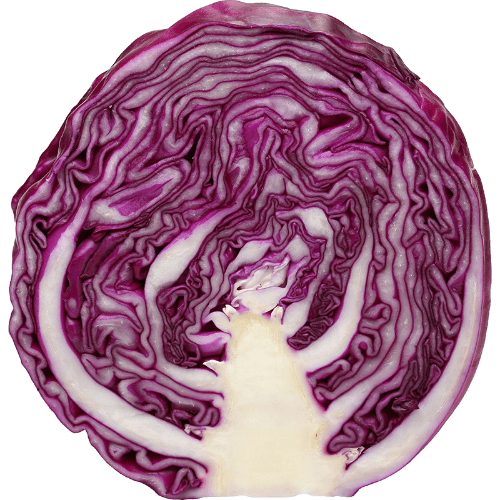 Red Cabbage Half