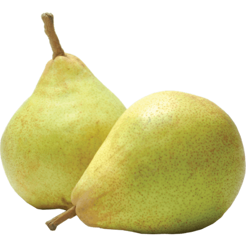 Doyenne Du Comice Pears