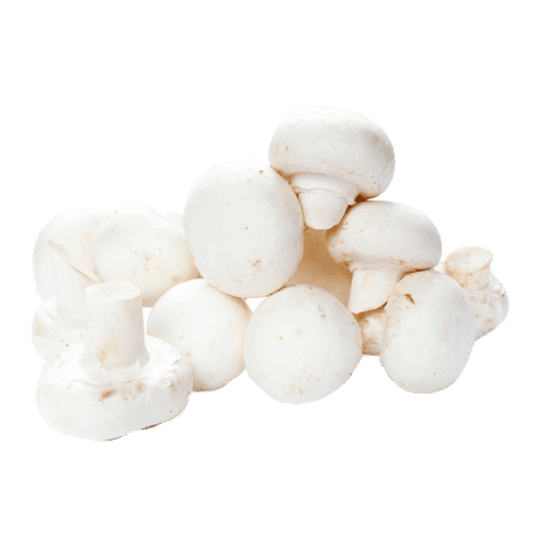 White Button Mushrooms