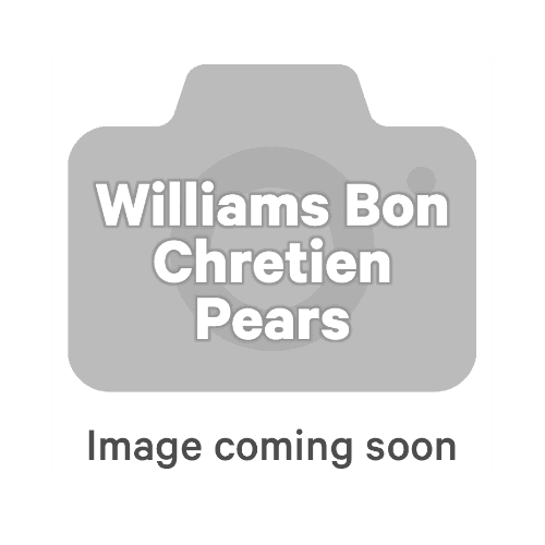 Williams Bon Chretien Pears per kg