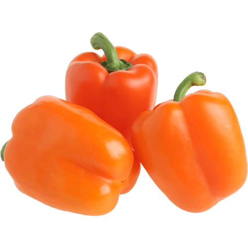 Orange Capsicum